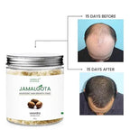 Ayurvedic Hair Growth Powder 🌱✨ (Buy 1 Get 1 Free🔥🔥)